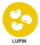 lupin
